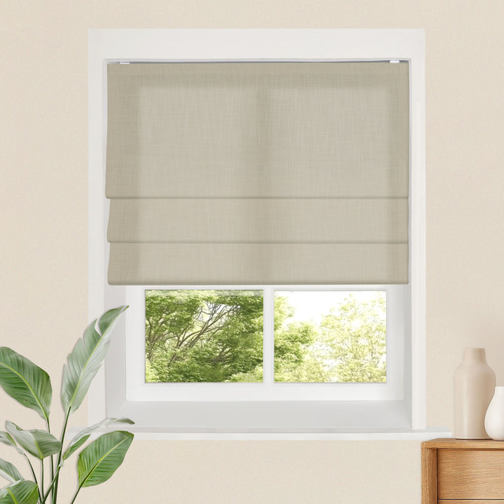 main#color_bulywood-birch