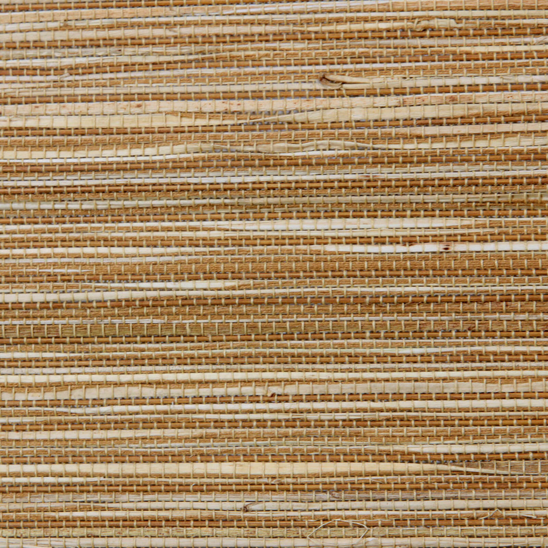 main#color_maize-yellow