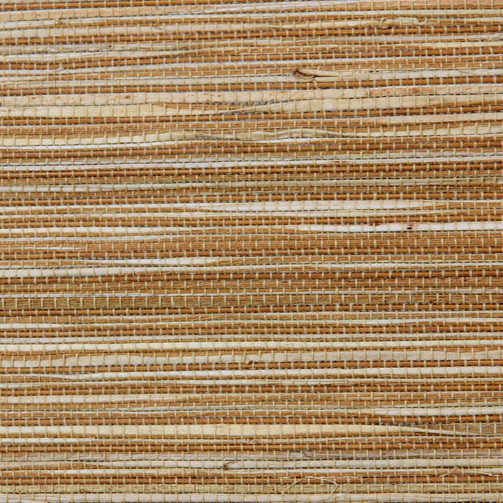 main#color_maize-yellow