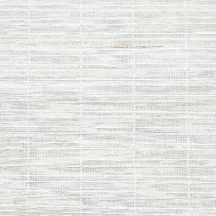 main#color_light-gray