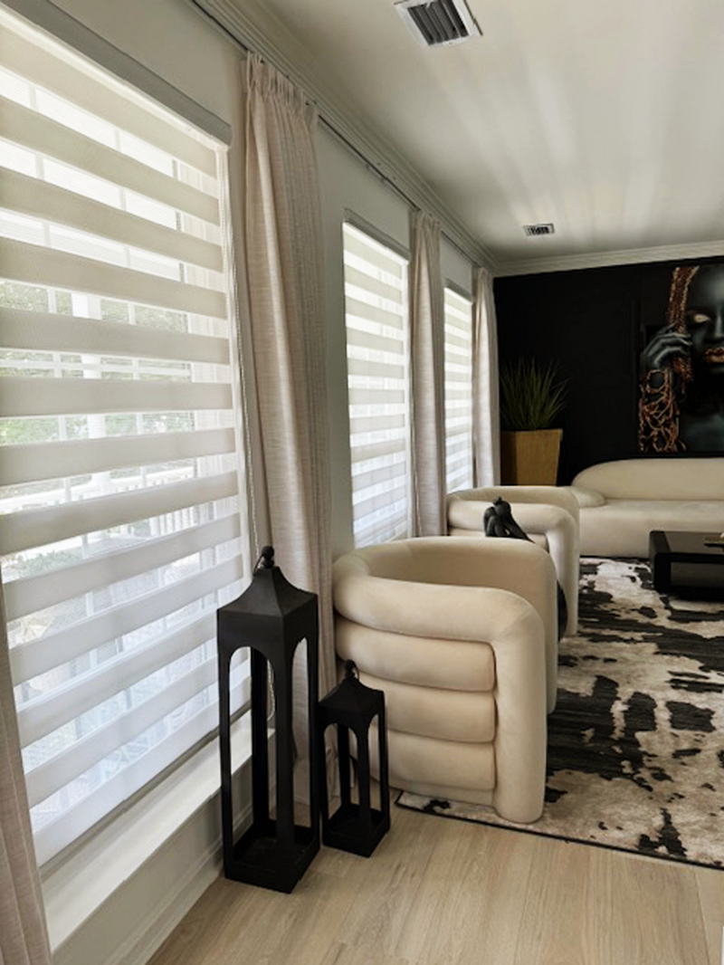 Charlotte Light Filtering Zebra Shades