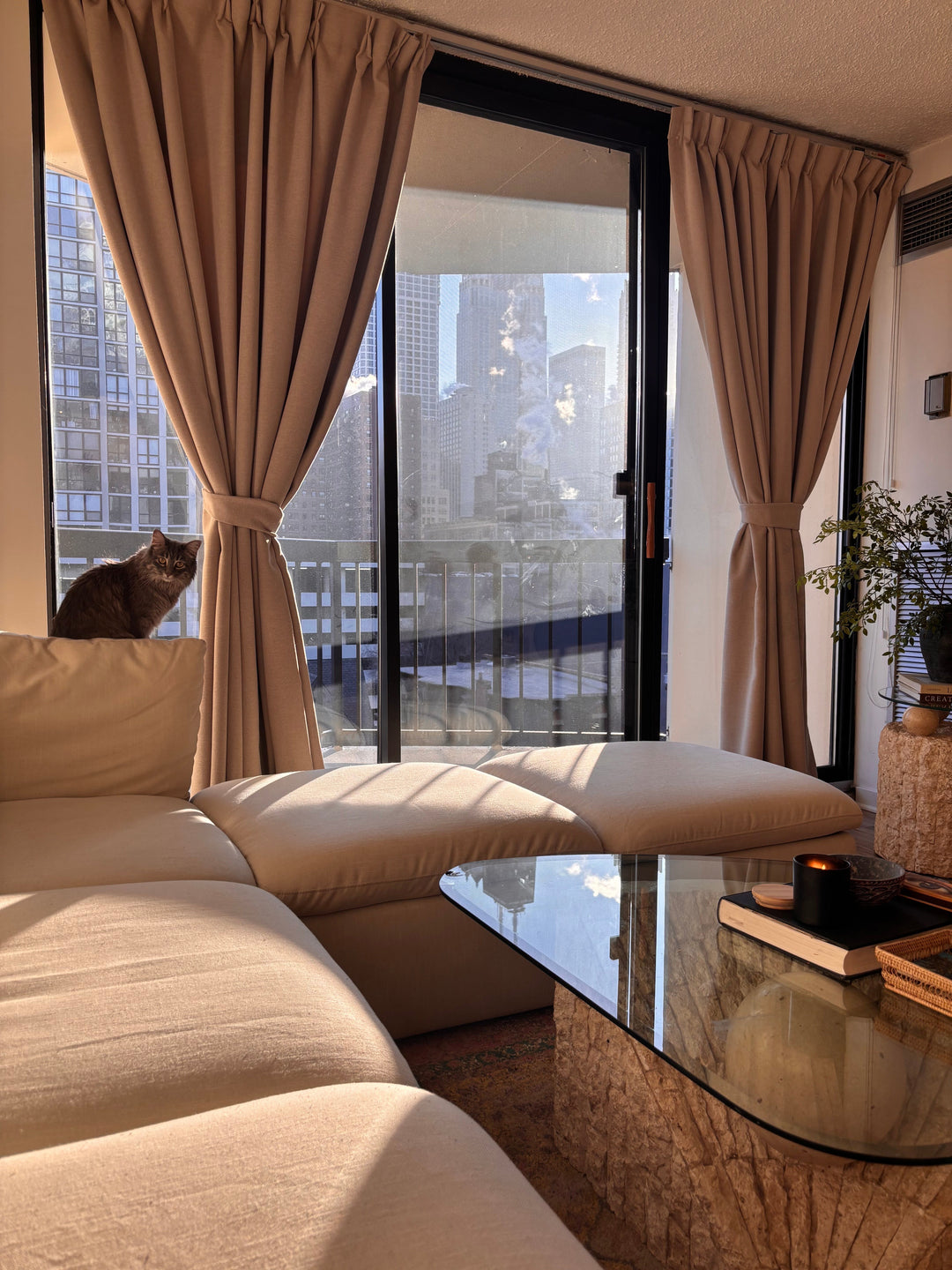 Sunlit living room featuring tied-back beige curtains, a comfortable sofa, and a cute cat.