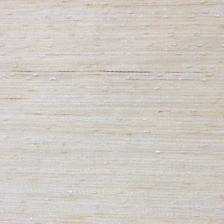 main#color_beige