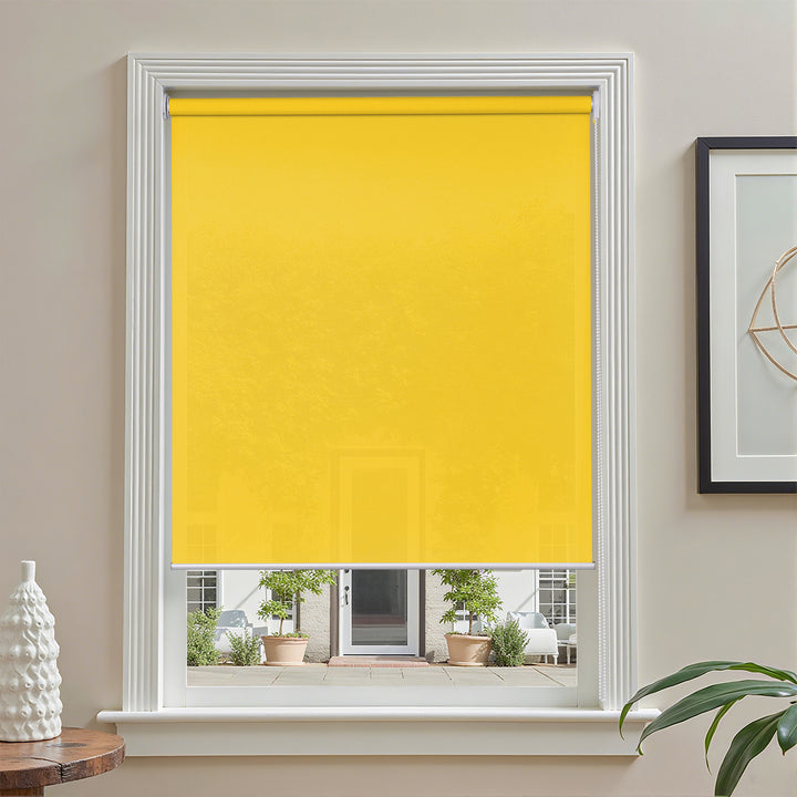 #color_lemon-yellow