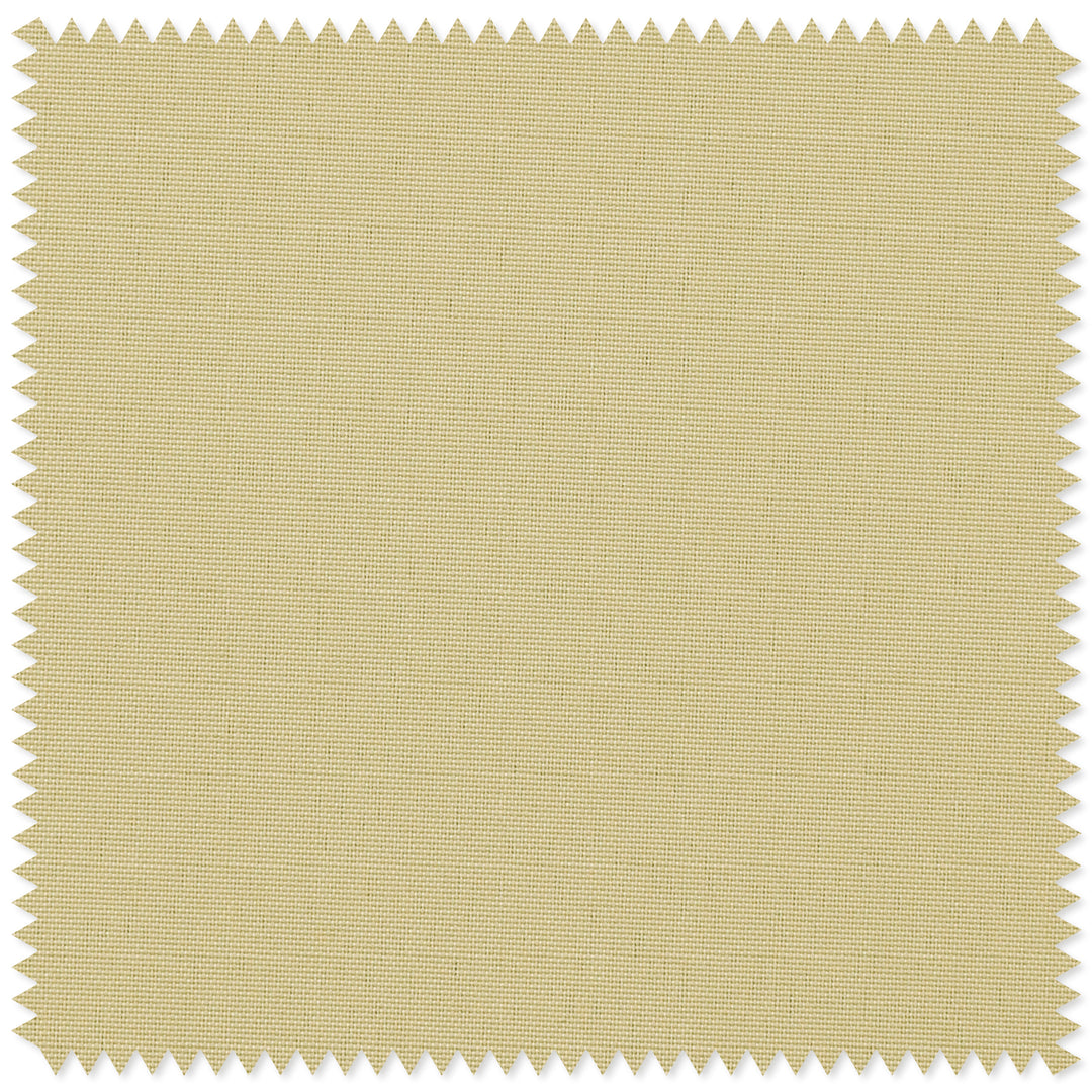 main#beige