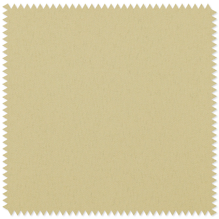 main#beige