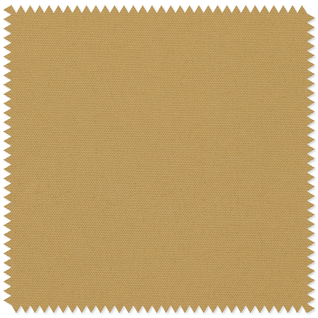 main#stone-color