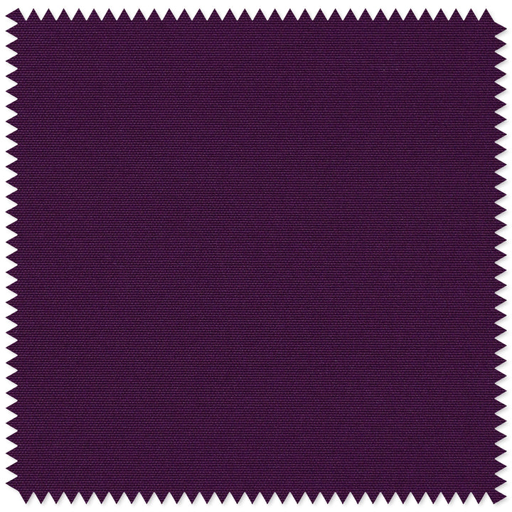main#purple