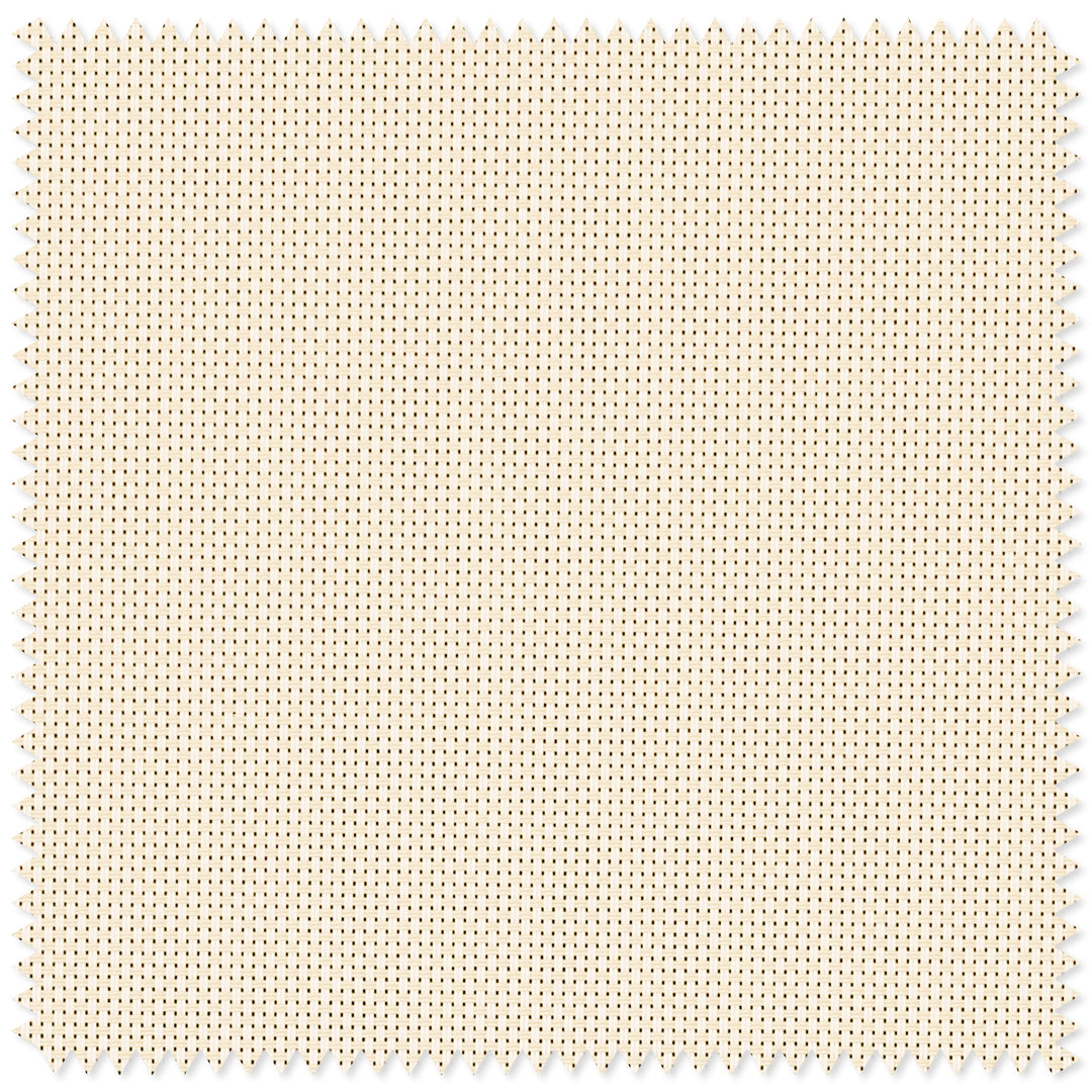 main#plain-beige
