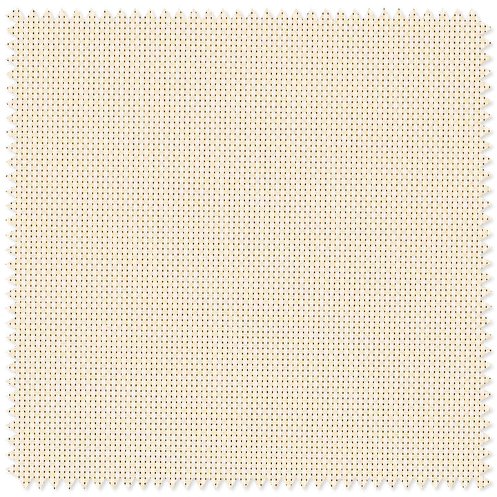 main#plain-beige