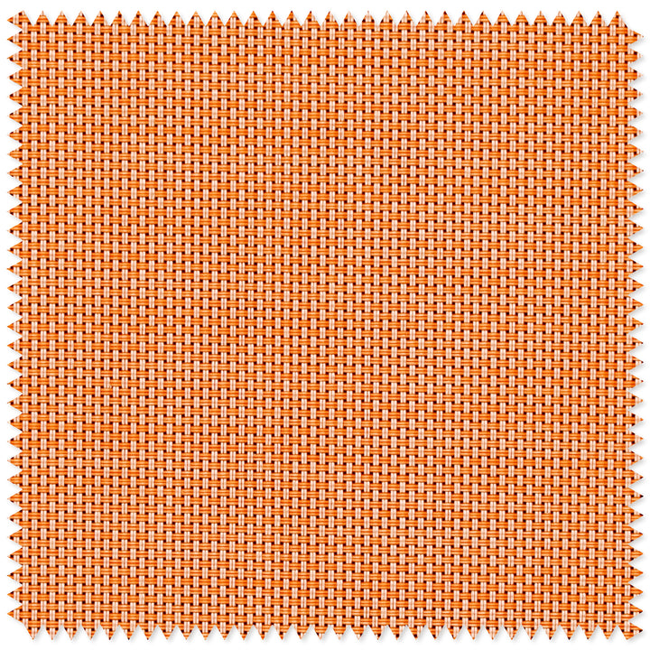main#orange