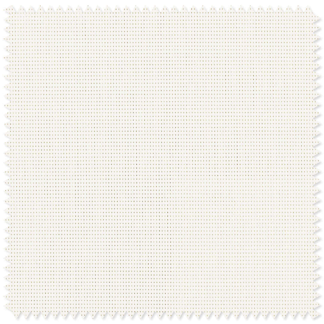 main#fine-plain-white