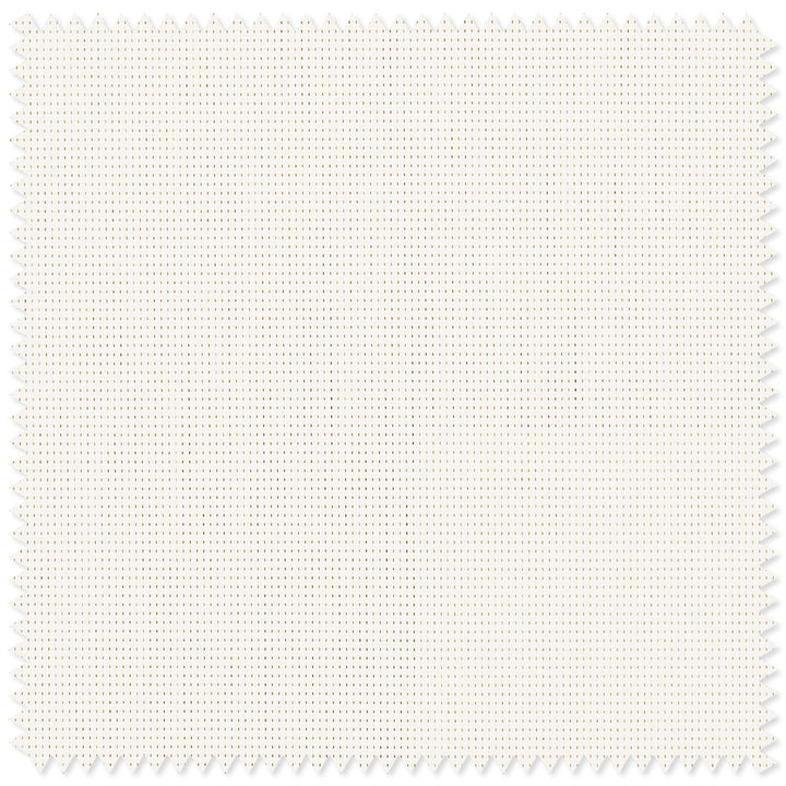 main#fine-plain-white