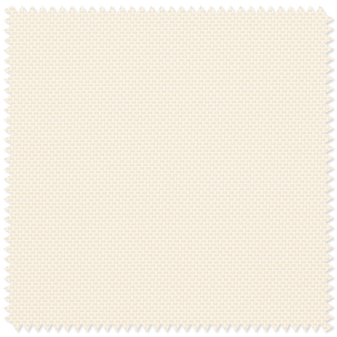 main#fine-line-beige