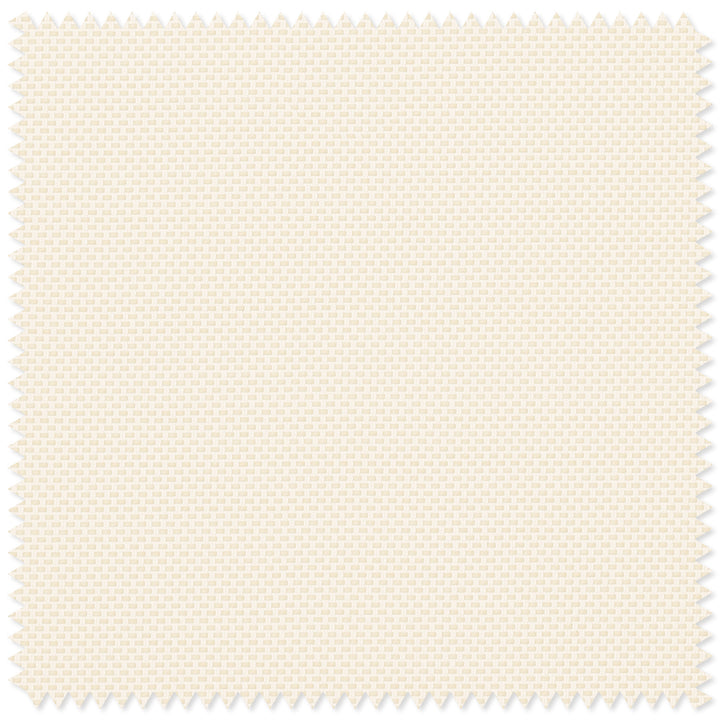 main#fine-line-beige