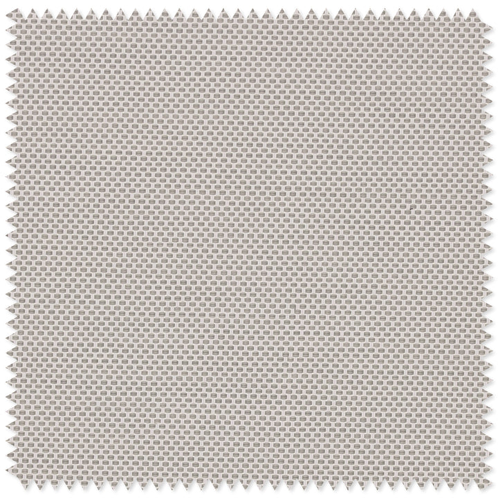 main#fine-line-grey