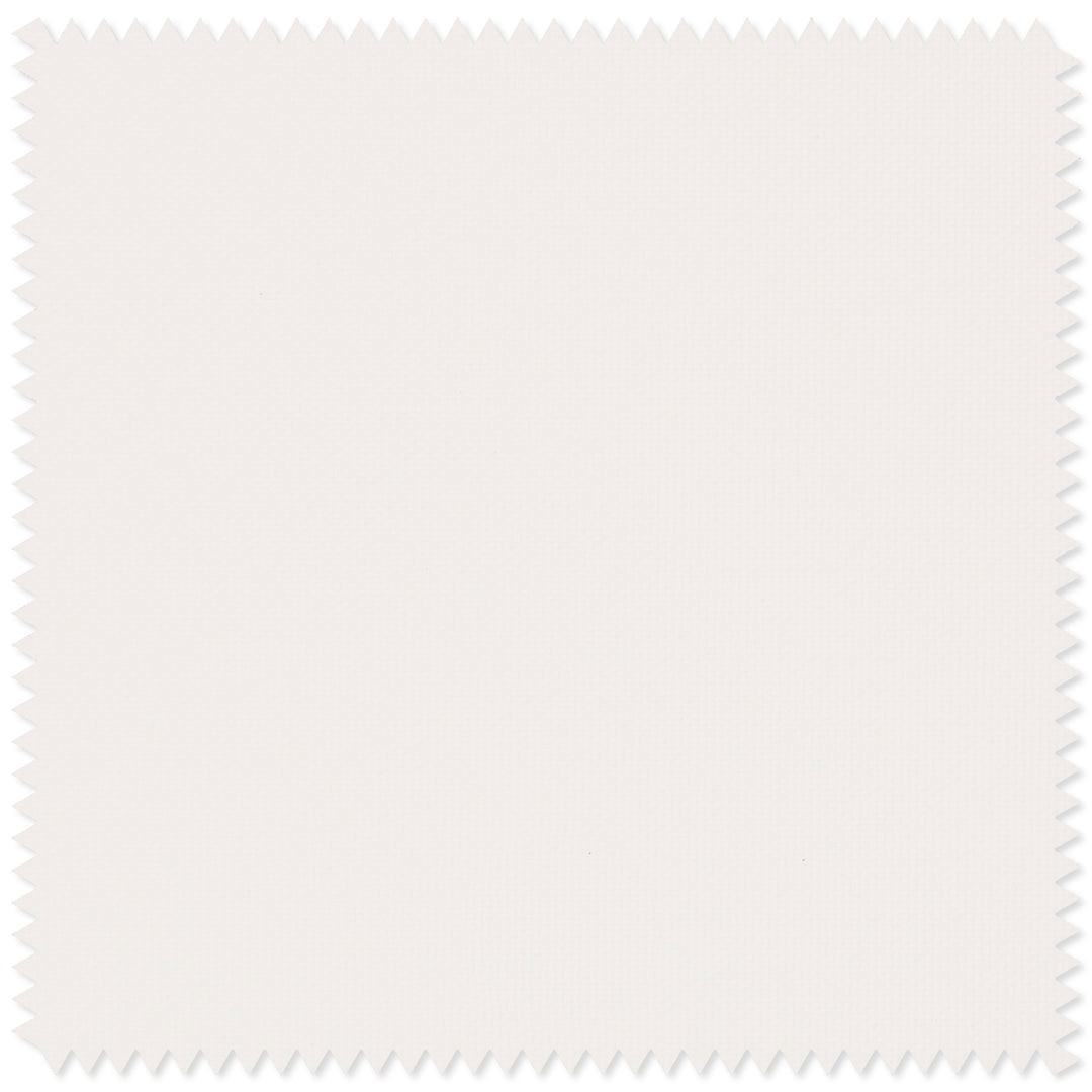 main#white