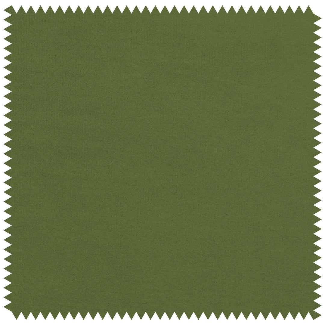 #color_olive-green