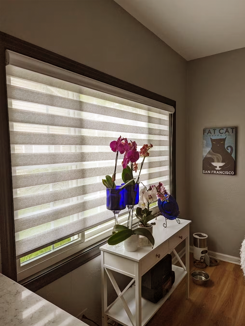 Mia Light Filtering Zebra Shades Alternate